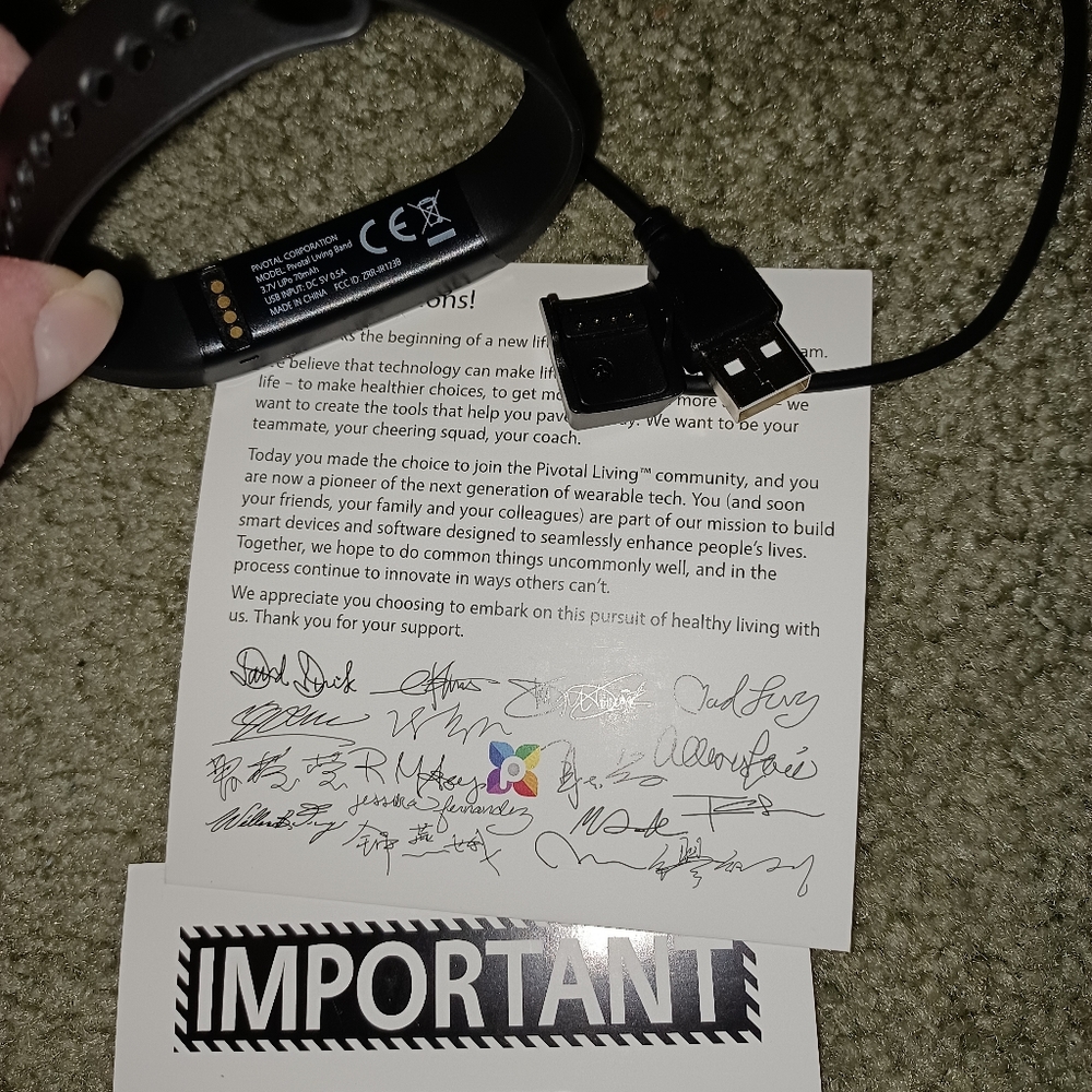 PIVOTAL LIVING BAND - Picture 10 of 11